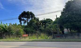 Imagem 3: Terreno a venda 8.500,00m2 Barro Preto- Sao Jose dos Pinhais