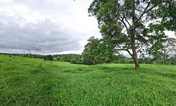 Imagem 5: Vende -se chácara de 2/70 alqueires, no município de Petrolina