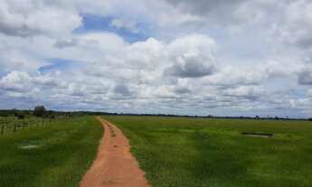 Imagem 7: Fazendacde arrendamento 1.200 hec plantando em pontes de Lacerda MT