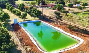 Imagem 2: Chácara com 5 Hectares à Venda Casa Ampla, Produção Agrícola e Localização Privilegiada!