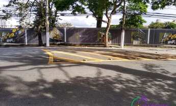 Imagem 2: TERRENO - ALTO DE PINHEIROS - SP