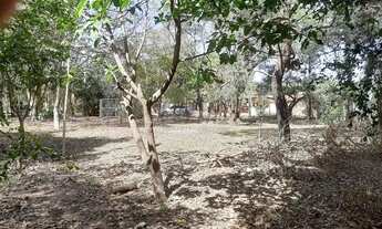 Imagem 4: Terreno á Venda 1.260m2 Village Campinas-Sp