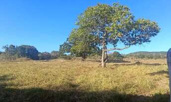 Imagem 3: Sítio à Venda na Área Rural de Moita Bonita/SE