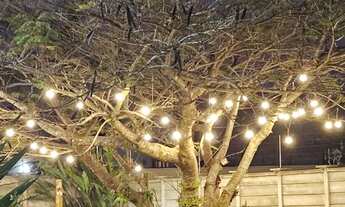 Imagem 3: SÍTIO DOS SONHOS À VENDA - VALE DO SOL - 5 lotes 100% planos