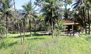 Imagem 2: Sítio à venda, Pov. Campestre, Teresina, PI