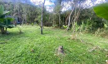 Imagem 7: Chácara plaina rica em água apenas 153 mil reais