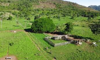 Imagem 4: Vendo chácara de 12 alq em Palmas TO