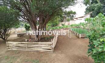 Imagem 5: Venda Sítio Dona Lourdes São José da Lapa