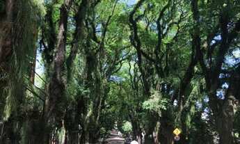 Imagem 5: Sala, 56 m² - Independência - Porto Alegre/RS