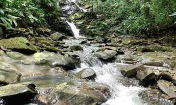 Imagem 2: Lindo sítio com cachoeira a venda em Nova Trento SC!!!