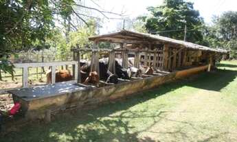 Imagem 3: Linda Fazendinha de 14,5 hectares, Jaboticatubas (Temos varias opções)