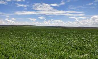Imagem: Fazenda contígua a Cristalina com 5km margem