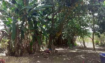 Imagem 7: Terreno à venda, 2600 m² por R$ 350.000 - 26 de Setembro - Brasília/Distrito Federal