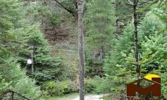 Imagem 4: Área para incorporação em Capivari