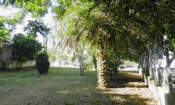 Imagem 6: NOVO HAMBURGO - Casa Comercial - Rio Branco