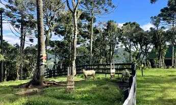 Imagem 7: CABANA E SÍTIO 4 HECTARES EM MEIO A NATUREZA E VALES EM URUBICI PARA VENDA!!!