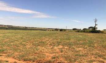 Imagem 6: FAZENDA COM 250 ALQ - PECUÁRIA E CULTURA - MONTADA - BEIRA DA PISTA - CÓRREGO E RIO - ROSA