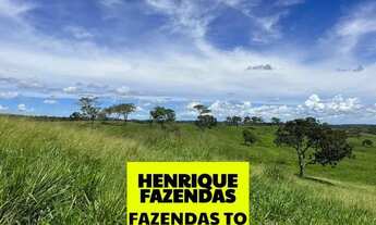 Imagem: Fazenda excelente pra pecuária região