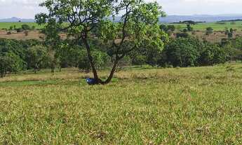 Imagem 4: Fazenda 113 alqueires plantando 50 alqueires em Ipora-GO