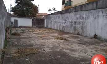 Imagem 4: São Paulo - Terreno Padrão - Tucuruvi