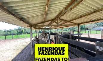 Imagem 4: Fazenda excelente pra pecuária região de Tabocão Tocantins