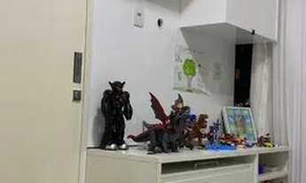 Imagem 6: Jardins da França