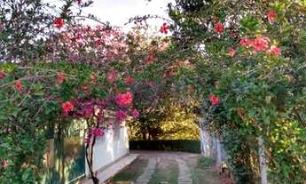 Imagem 3: Chácara para venda possui 280 metros quadrados com 3 quartos