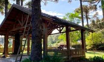 Imagem 7: CANELA - Casa Padrão - Vila Suica