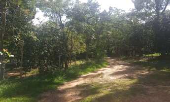 Imagem 4: Rancho no rio dourado