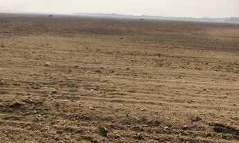 Imagem 6: Fazenda à venda em Tocantins 624 Alqueiros direto com proprietário