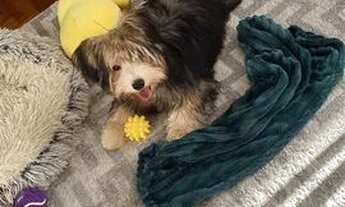 Imagem 5: Quarto privativo Copacabana