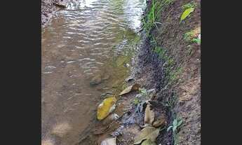 Imagem 4: Chácara de 38 mil metros em Bela Vista de Goiás