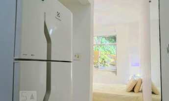 Imagem 4: Apartamento à Venda - Laranjeiras, 1 Quarto, 20 m2