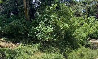 Imagem 6: Terreno 3.600m², topog. 70% declive leve, 20% declive médio, 10% acentuado, 30 min da Capi