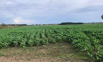 Imagem 3: Fazenda à venda em Tocantins 624 Alqueiros direto com proprietário
