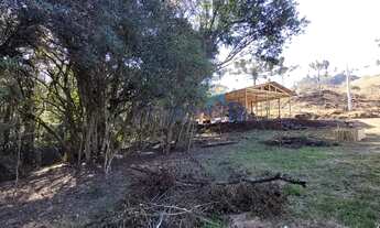 Imagem 6: Chácara em São Francisco de Paula - São Francisco de Paula