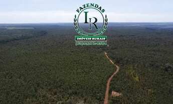 Imagem 3: Fazenda 210 Alqueires Agricultável Proximo Palmas