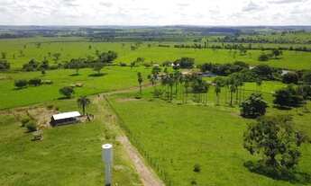 Imagem 2: Fazenda Extra 86 Alqueires de Cultura de Bacuri!