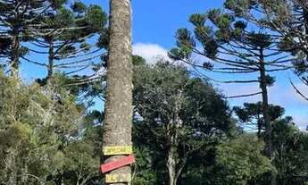Imagem 6: CABANA E SÍTIO 4 HECTARES EM MEIO A NATUREZA E VALES EM URUBICI PARA VENDA!!!