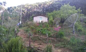 Imagem 7: Lugar Maravilhoso! Sítio com 3,5 Alqueires, Cachoeira e Terra Boa! Delfim Moreira, Sul de