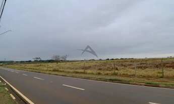 Imagem 4: área - Betel - Paulínia