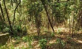 Imagem 4: Terreno 3.600m², topog. 70% declive leve, 20% declive médio, 10% acentuado, 30 min da Capi