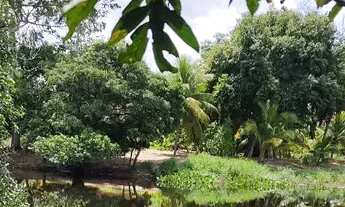 Imagem 7: Terreno à Venda - 800,00 + Parcelas de a partir de 160,00, Acesso ao Rio - 1.000m2