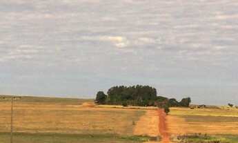 Imagem 5: FAZENDA COM 250 ALQ - PECUÁRIA E CULTURA - MONTADA - BEIRA DA PISTA - CÓRREGO E RIO - ROSA