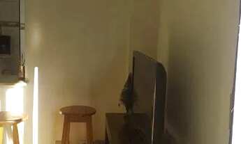 Imagem 5: Apartamento com 1 dorm, Tupi, Praia Grande - R$ 205 mil, Cod: 14427