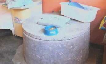 Imagem 7: SÍTIO 17 HECTARES FORMADO