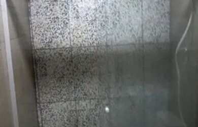 Imagem 5: Alugo Casa Casa com 2 dormitórios