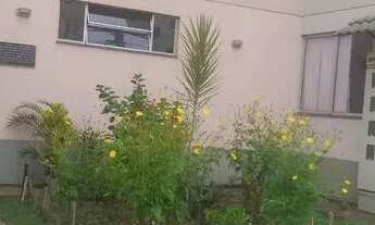 Imagem 4: Aluga-se Apartamento com 2 dormitórios