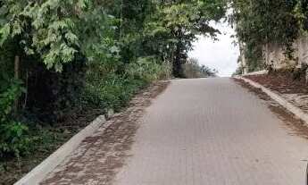 Imagem 3: Engenho do Mato rua pavimentada lindo lote