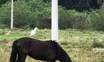 Imagem 4: Terreno à venda no Loteamento Real Park por R$550.000,00
